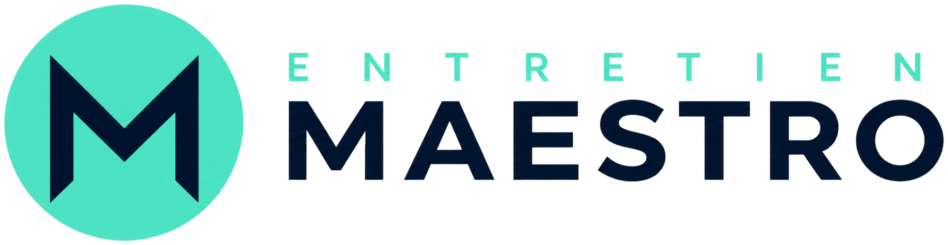 Entretien Maestro