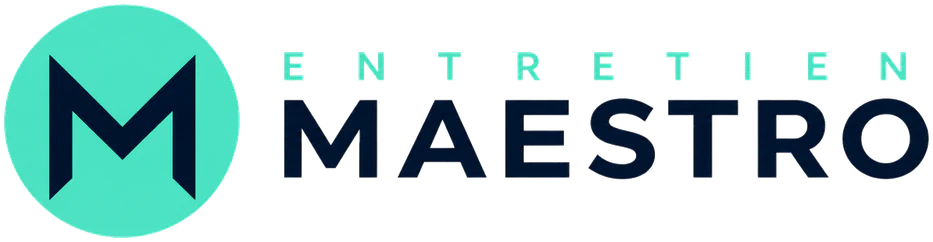 Entretien Maestro